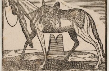 Tradizione, tecnica e addestramento, perché iniziare sempre dal lato sinistro