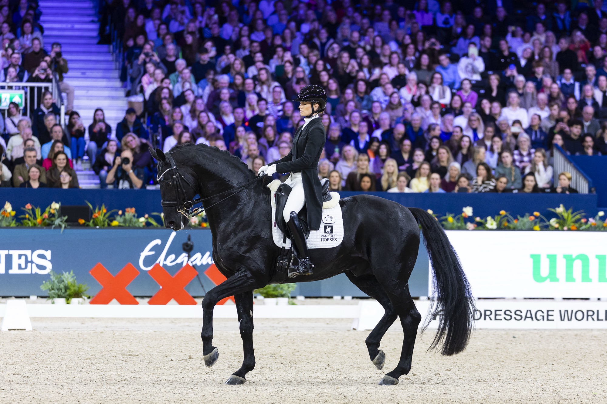 charlotte fry amsterdam 1