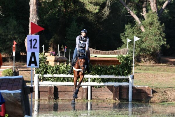 Il cavallo da Completo.