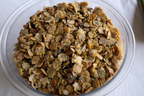 Alimentazione sicura per il cavallo. L’importanza delle norme igieniche e della corretta conservazione dei mangimi.