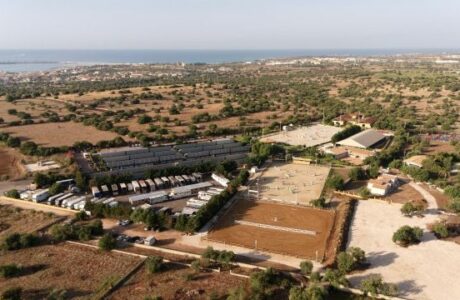 Equilife, una scuderia di eccellenza nel cuore della Sicilia.