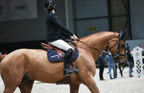 Il valore delle transizioni nel lavoro quotidiano a cavallo