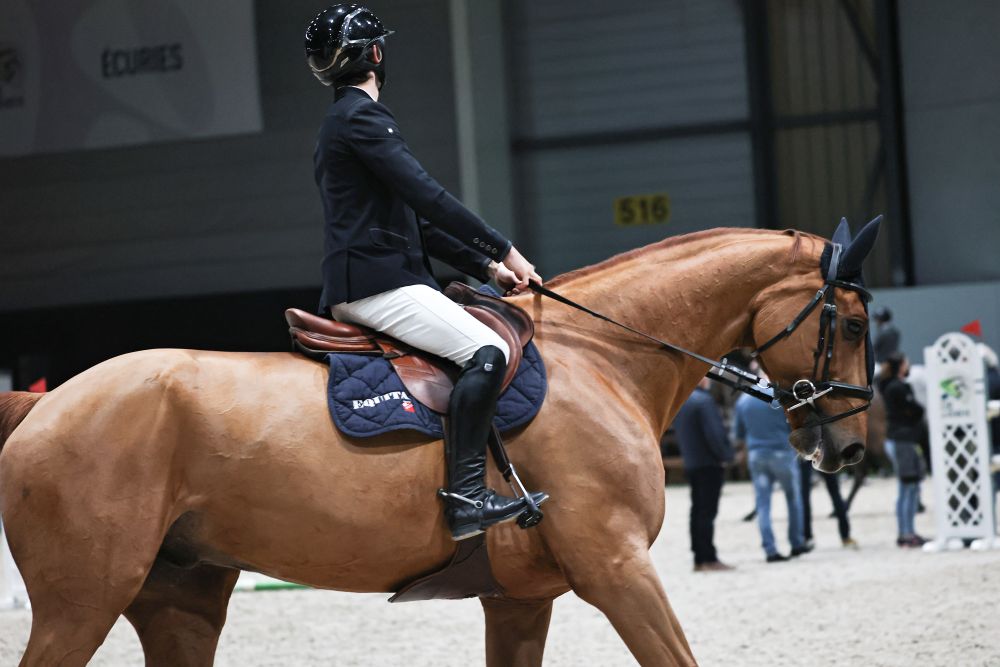 Il valore delle transizioni nel lavoro quotidiano a cavallo