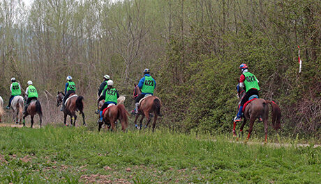 Vittorito, stesso Endurance, un'altra anima.