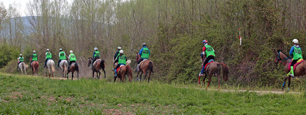 Vittorito, stesso Endurance, un'altra anima.