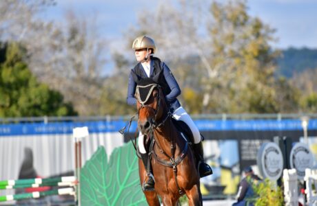 544c0eeb 2d01 4342 b550 53162c3c61fa