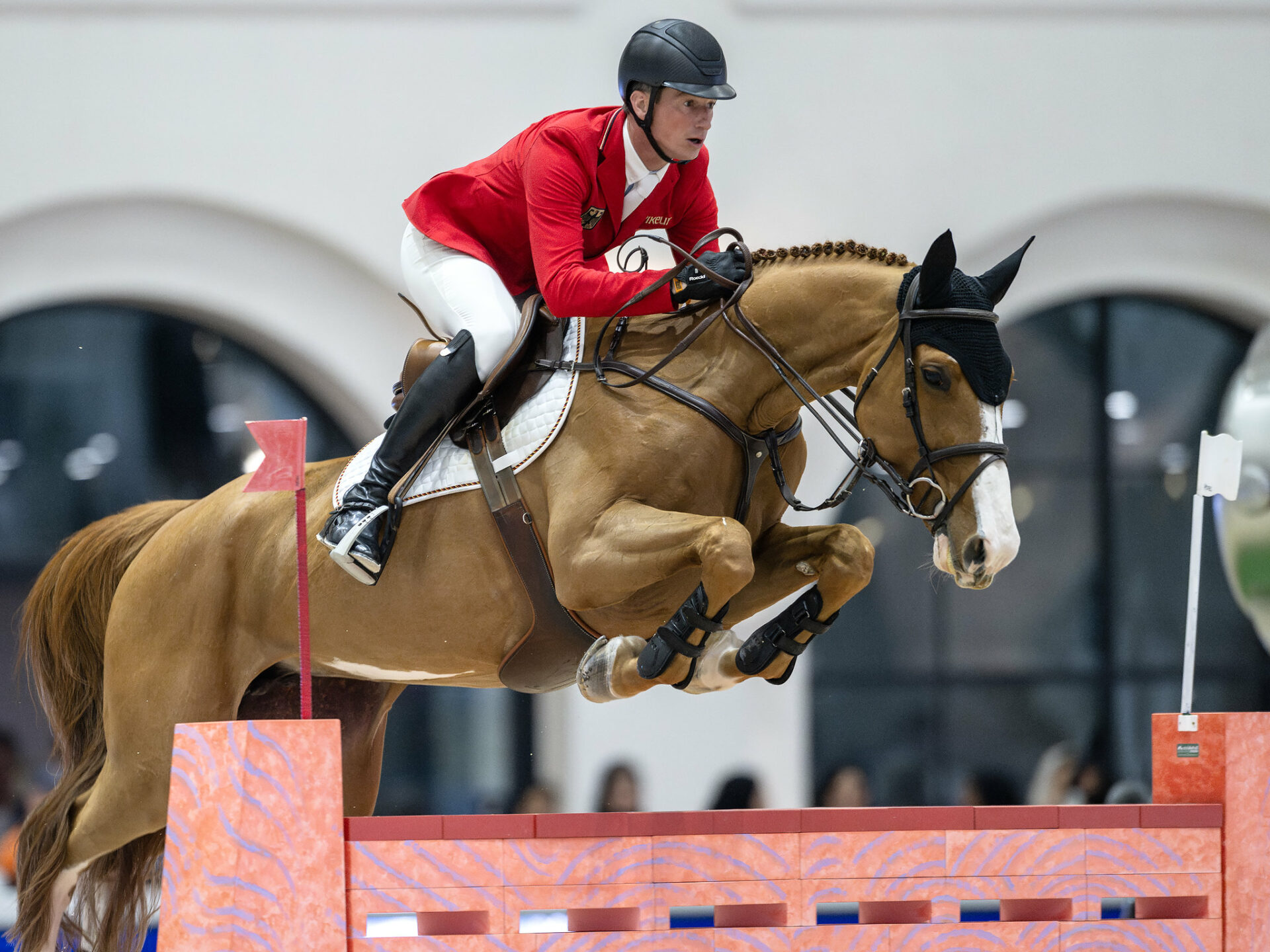 55093262127 e774a727fa k