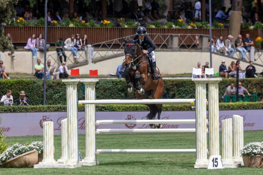 86572fdc 3a39 44c9 bf7a 6d02919b4d4d 2