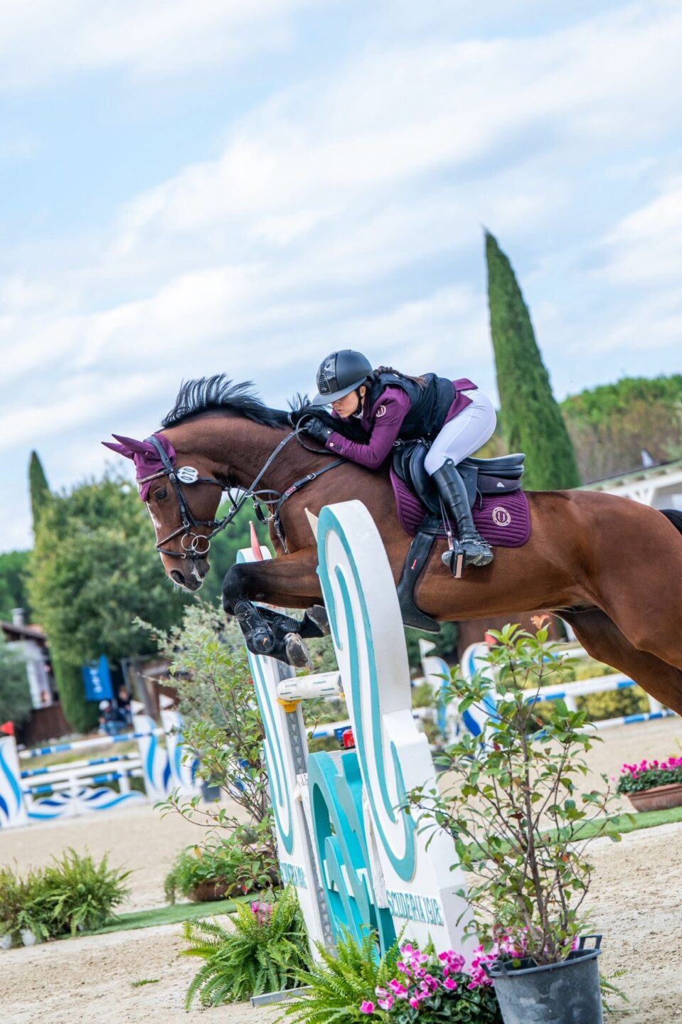 9d23be11 322f 4b02 a5ca 472017de5a9e