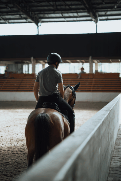 Cavallo in allenamento