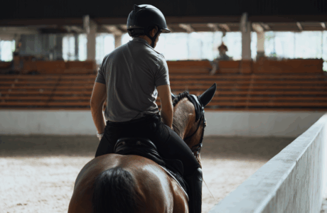 Cavallo in allenamento