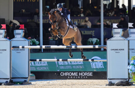 Laura Chapot & Ginola.