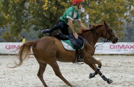 Cavaliere di Mounted Games