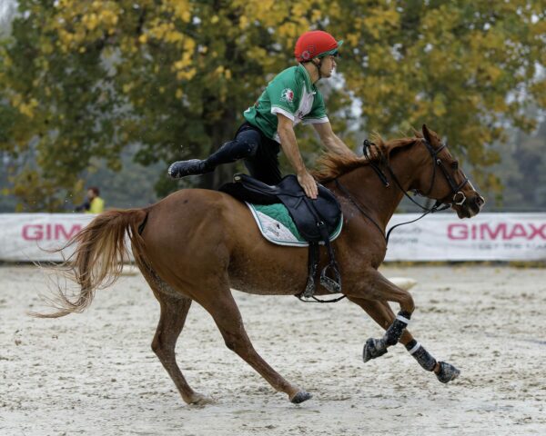 Cavaliere di Mounted Games