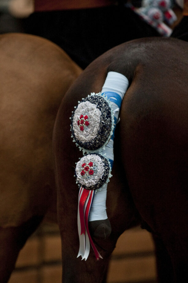 Sartiglia2010 SS1 5749