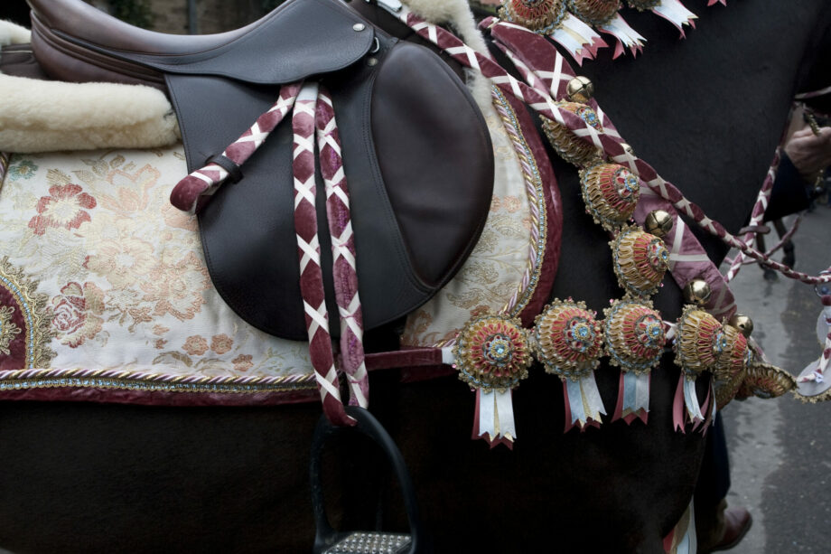 Sartiglia2010 SS2 5387