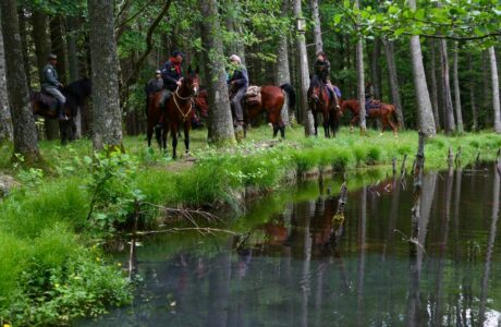 Trekking Casentino FM1 1622