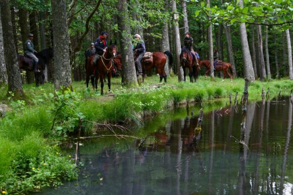 Trekking Casentino FM1 1622