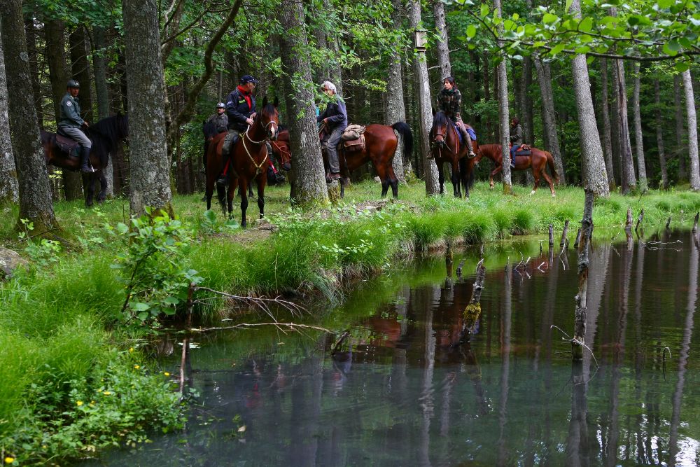 Trekking Casentino FM1 1622
