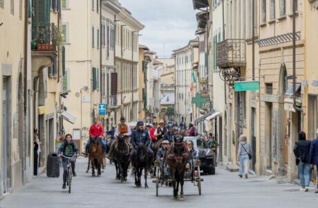 arezzo cavalli in citta