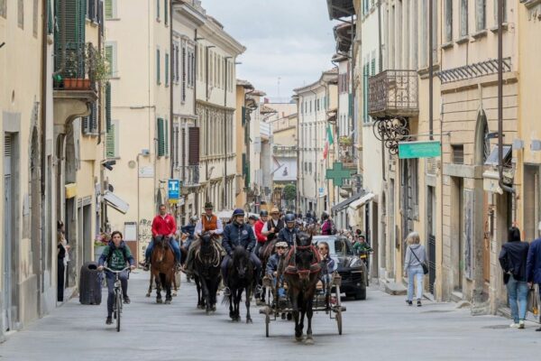 arezzo cavalli in citta