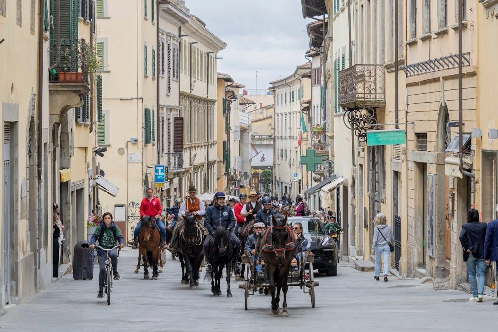 arezzo cavalli in citta