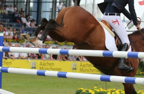 concorso di salto ostacoli Aachen