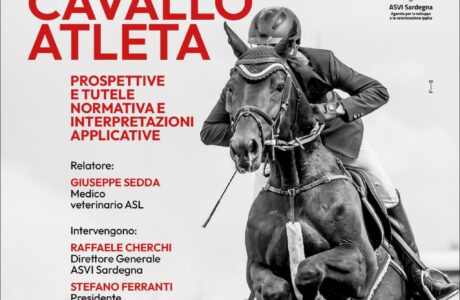 locandina anacaad cavallo atleta