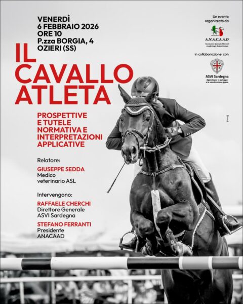 locandina anacaad cavallo atleta