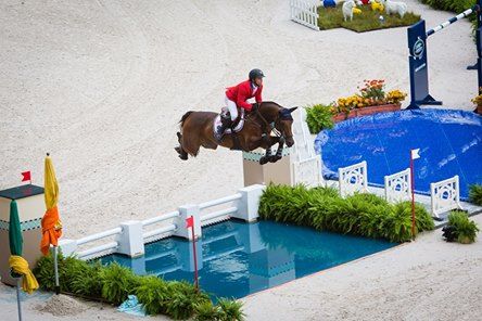 Perché i cavalli hanno difficoltà o paura di saltare la riviera.