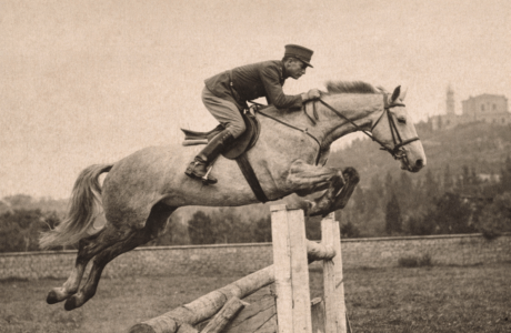 156b2421 8246 4e94 89d1 a84d12dd2d64