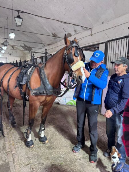 2335d588 1e80 4c94 8d53 7ff9030caee0