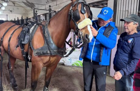 2335d588 1e80 4c94 8d53 7ff9030caee0