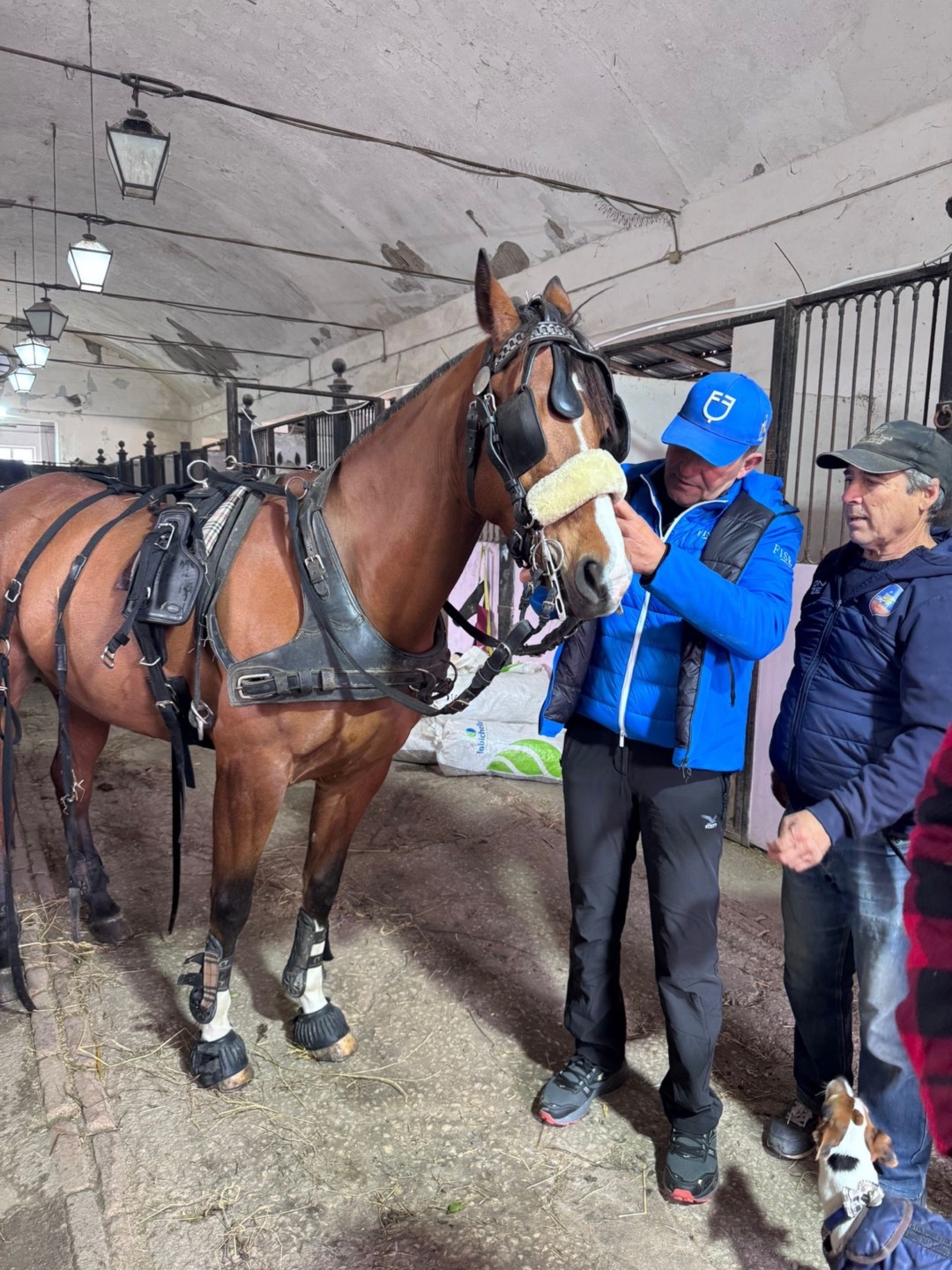 2335d588 1e80 4c94 8d53 7ff9030caee0