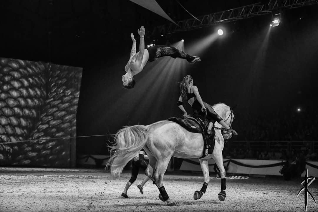 26e04bcb 7ec0 4327 a85d 785016580382