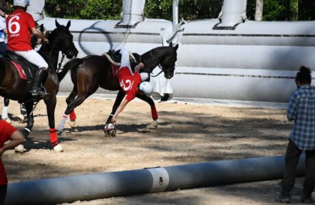 30ad5673 08bf 44dc bc25 d6609bd936c5