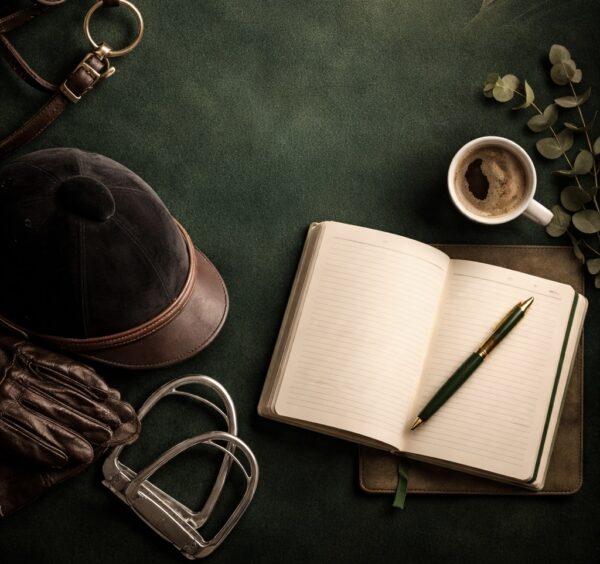 62CB6499 D394 4FEF B159 39017BE5AAAA