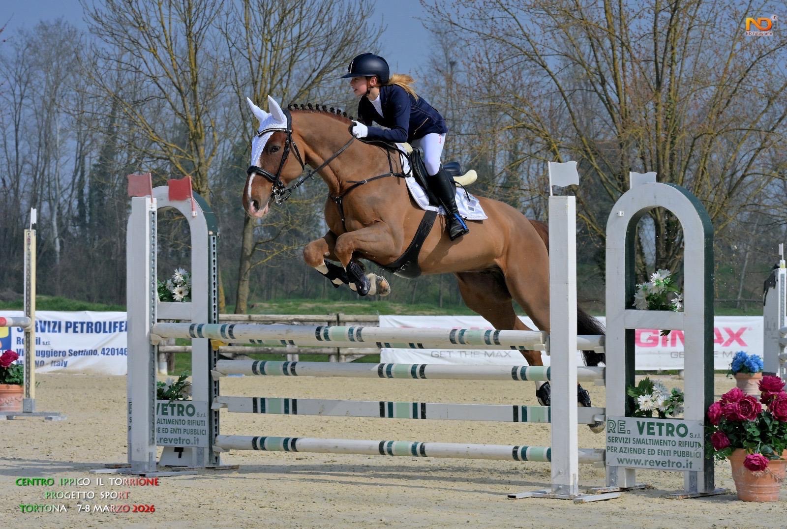 7f4312c9 2ed5 41bf 9f1f ec81a9d0fdfd