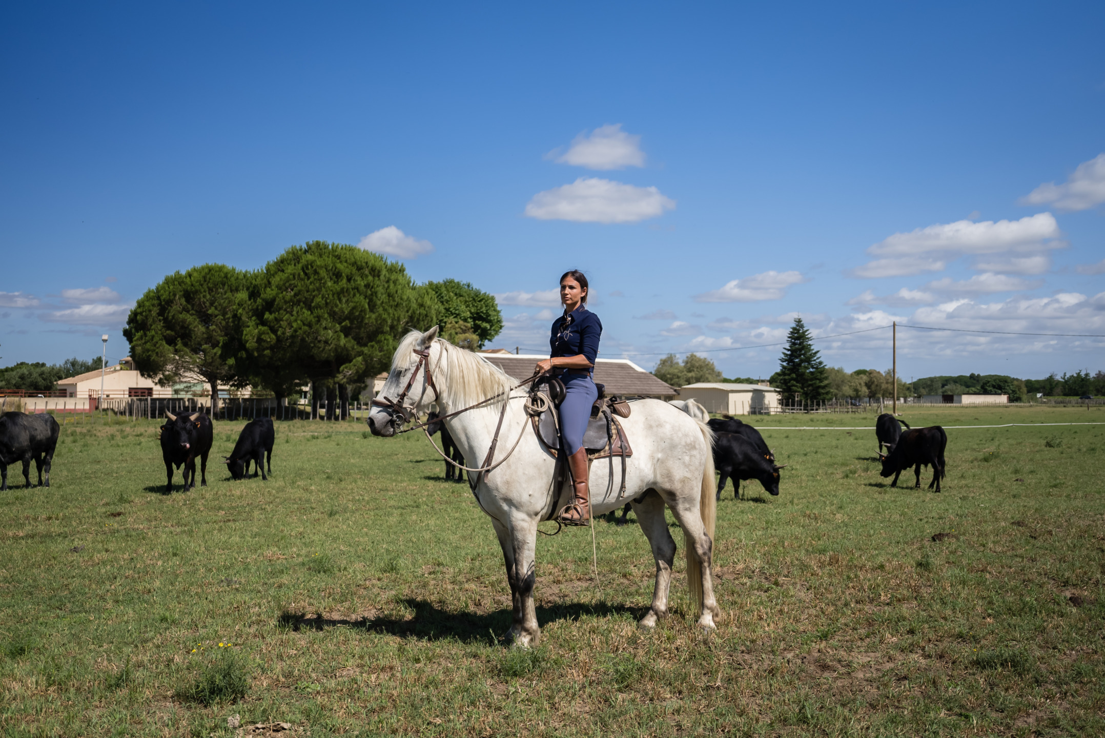 Primavera in sella: tre viaggi a cavallo da sogno tra Camargue, Andalusia e Islanda 3 A7S6203