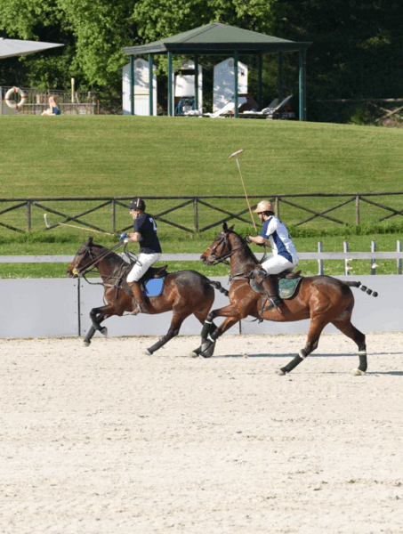 Partita di Arena polo su sabbia