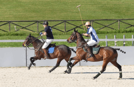 Partita di Arena polo su sabbia