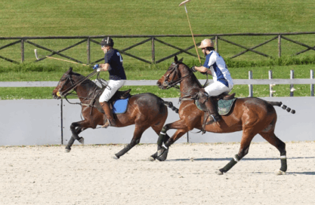 Partita di Arena polo su sabbia