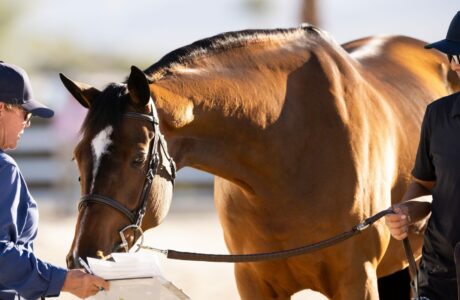 BIOSECURITY HEADER 251209 DH2 MG 0007 scaled 1