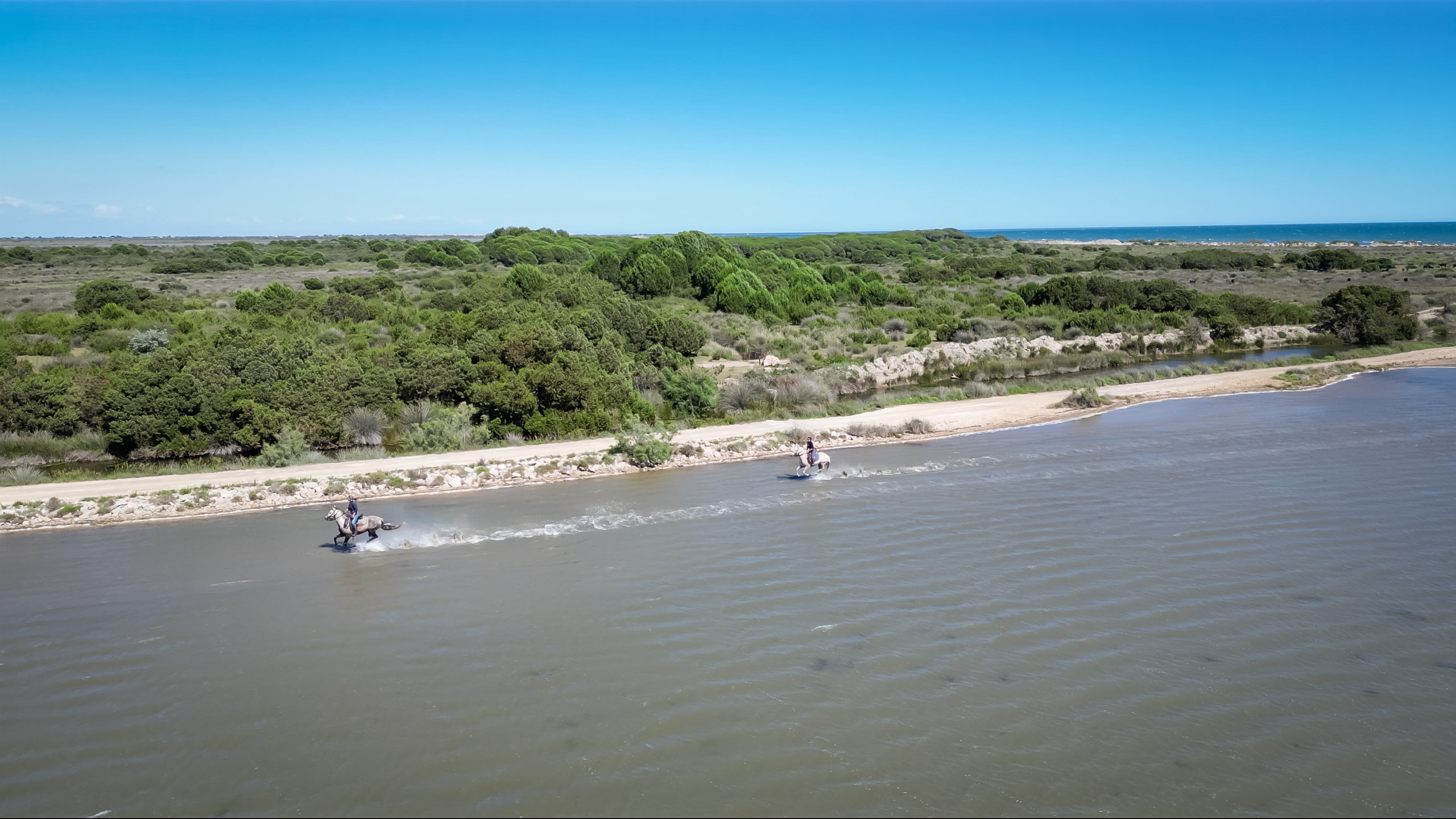 Primavera in sella: tre viaggi a cavallo da sogno tra Camargue, Andalusia e Islanda 2 Camargue 32