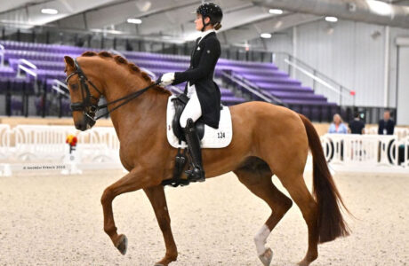 Claire Darnell and Harrold S Photo by Andrew Ryback Photography