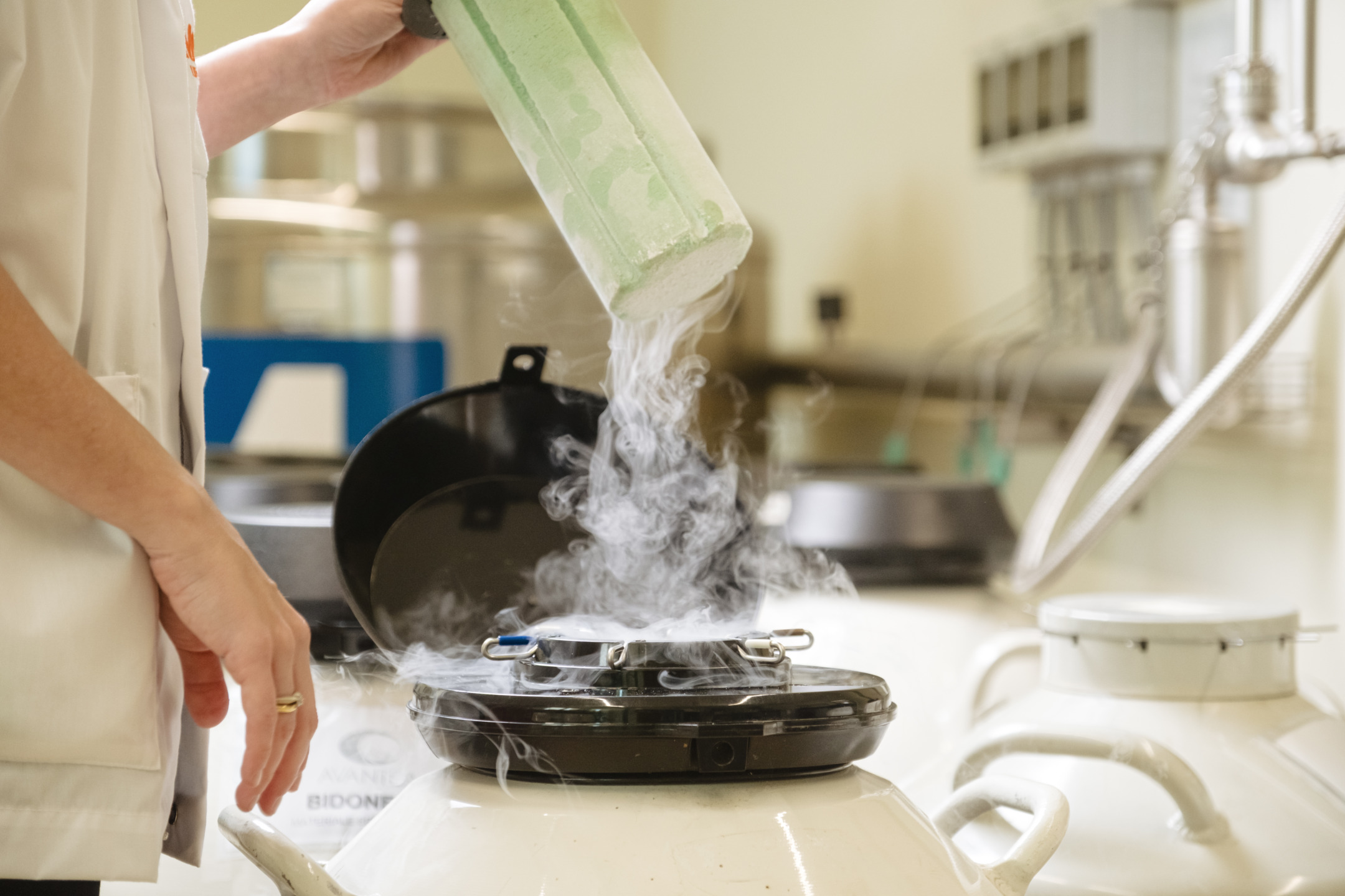 From Performance to Genetics: Why the Future of Breeding (Also) Depends on the Semen Bank 5 DSCF7501 2