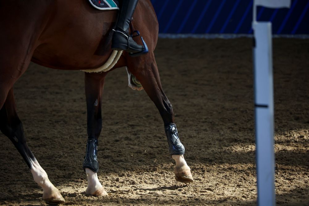 Longines Global Champions Tour 2026: Doha si ferma, ma i campioni tornano a casa.