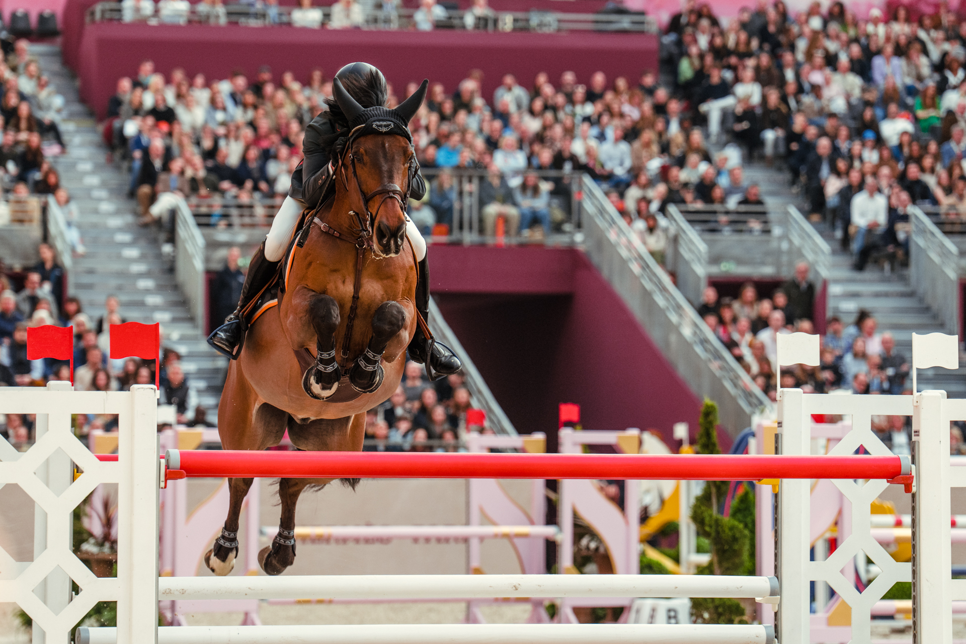 Saut Hermès 2026: Scott Brash firma il Grand Prix, Gaudiano terzo nel Prix de La Ville de Paris 2 Epreuve nA10 Grand Prix Hermes CSI 5 Harrie SMOLDERS MR TAC 2 Dimanche 22 mars Credit Christophe Taniere