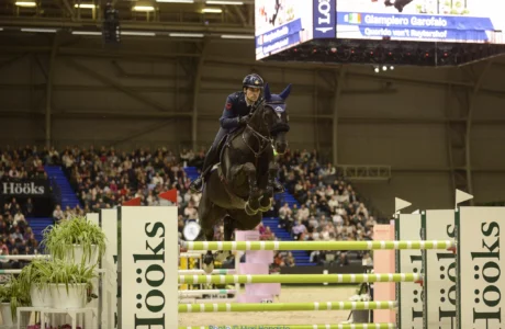 Giampiero Garofalo Querido vant Ruytershof 1613