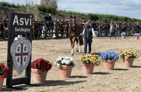 Centro di Riproduzione equina ASVI Sardegna